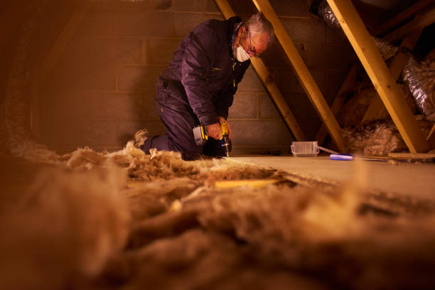 Best Attic Insulation Installation  in Rio Grande City, TX